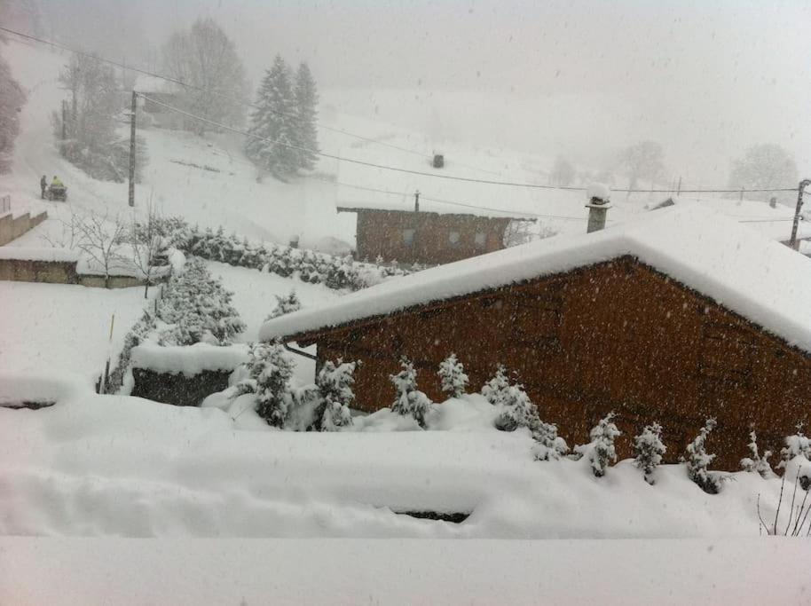 Dans Hameau, Pres Des Pistes Logement De Plein Pied Au Calme 塔南日 外观 照片